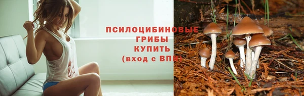 MESCALINE Богородицк