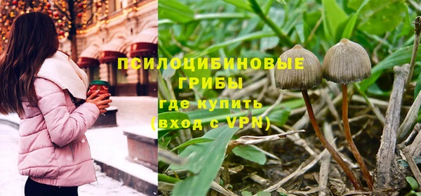 MDMA Богданович